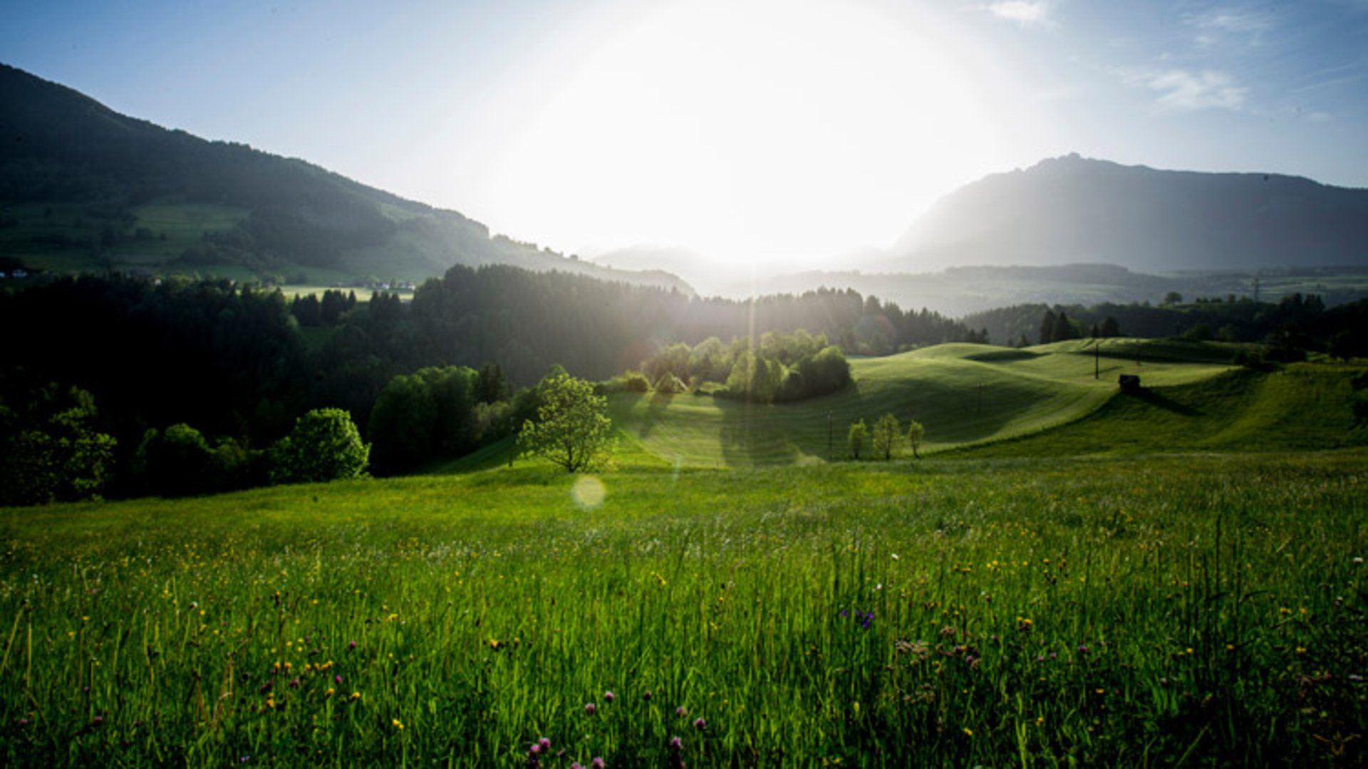 Das Ausseerland - Salzkammergut zeigt sich in saftigen Grün (c) TVB Ausseerland - Salzkammergut | Tom Lamm Das Ausseerland - Salzkammergut zeigt sich in saftigen Grün (c) TVB Ausseerland - Salzkammergut | Tom Lamm